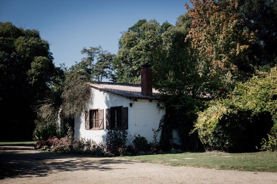 fotógrafos de bodas